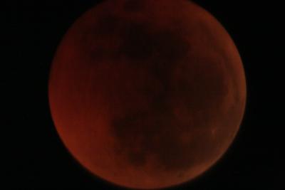 img_8313.jpg